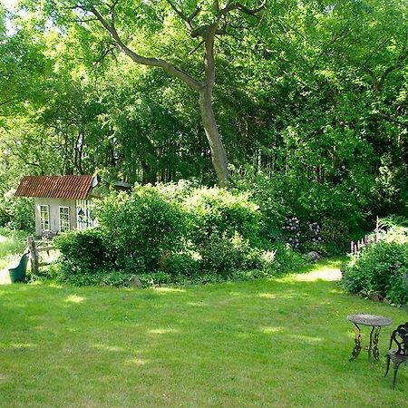 Apartament Alte Schule Osteroden Merzen Zewnętrze zdjęcie